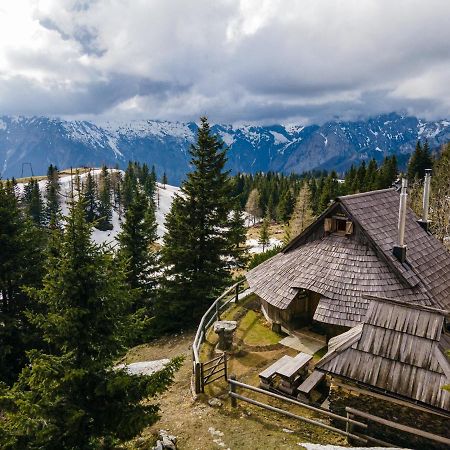 Alpine Chalet Velika Planina - Irenca - I Feel Alps Stahovica Exterior photo